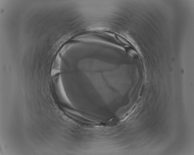 X0000071780385200607211602