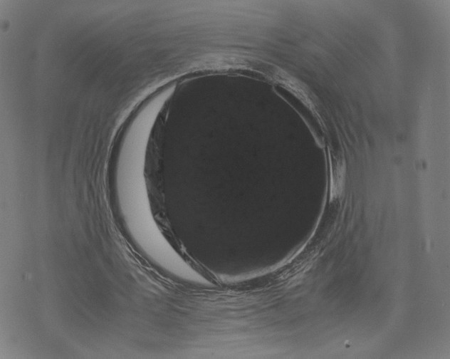 X0000071780387200607211602