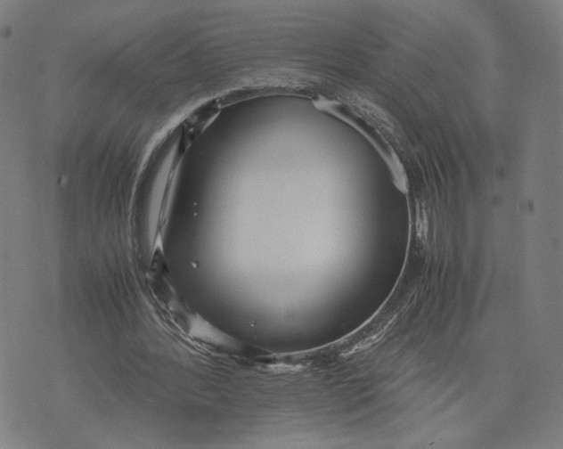 X0000071780388200607211602