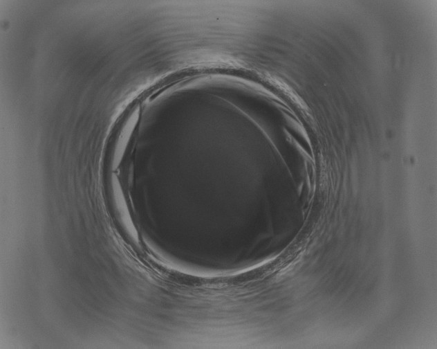 X0000071780391200607211602