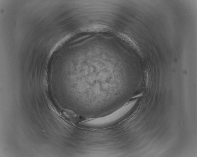 X0000071780392200607211602