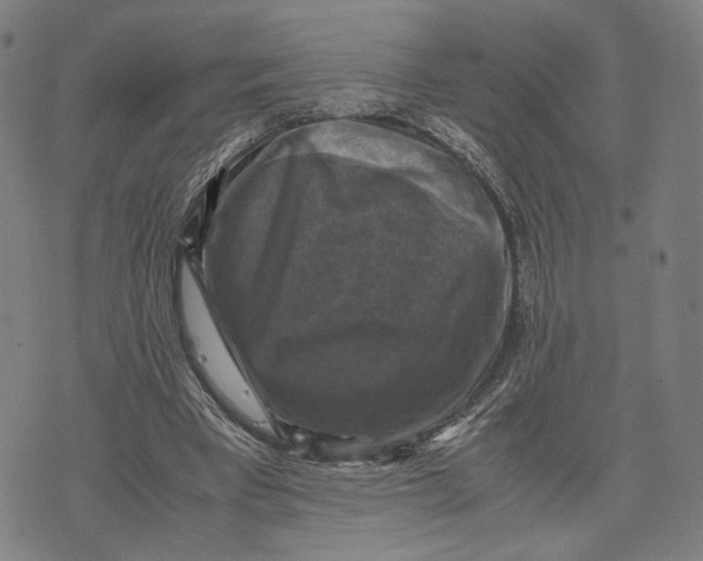 X0000071780393200607211602