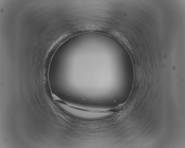 X0000071780395200607211602