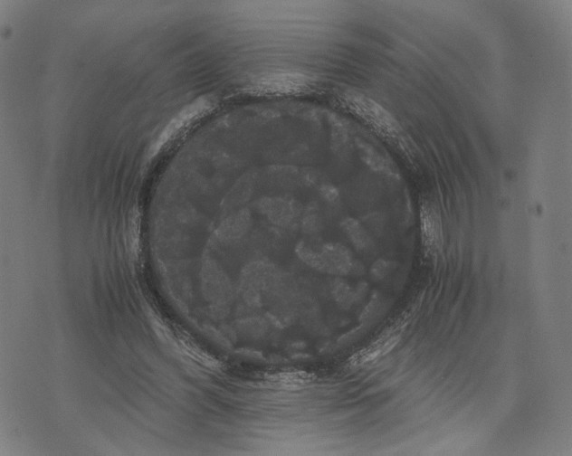 X0000071780396200607211602