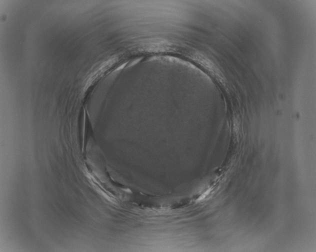 X0000071780397200607211602