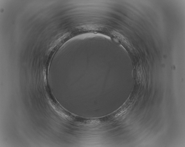 X0000071780398200607211602