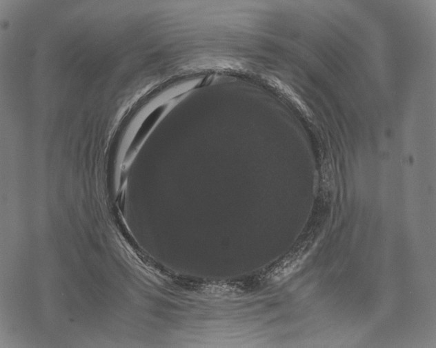 X0000071780399200607211602