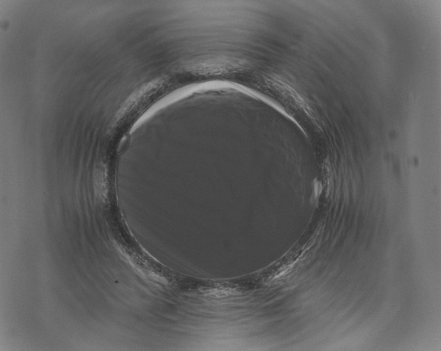 X0000071780400200607211602