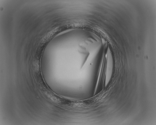 X0000071780401200607211602