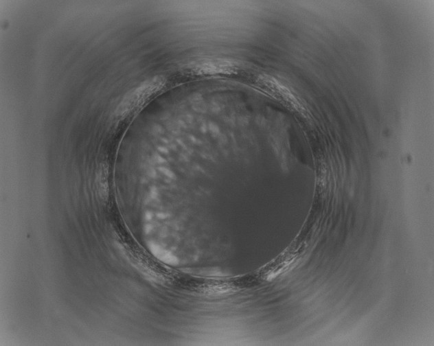 X0000071780402200607211602