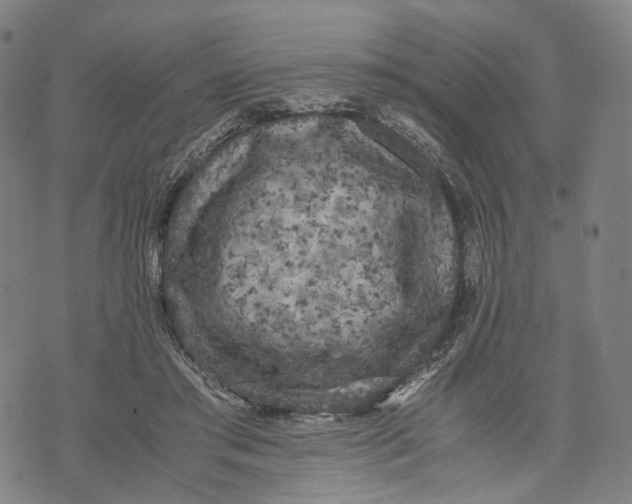 X0000071780405200607211602