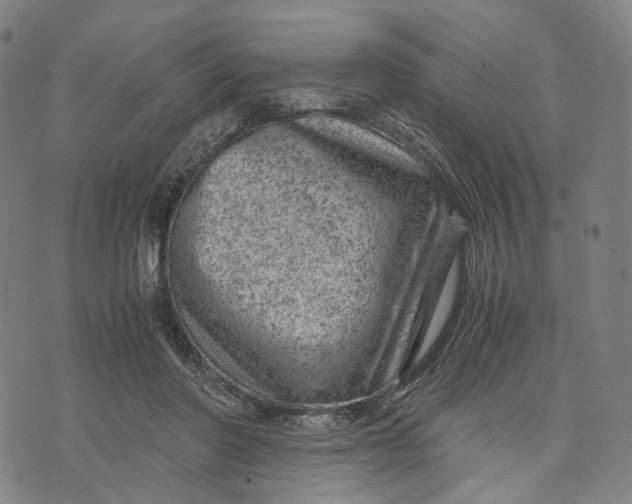 X0000071780406200607211602