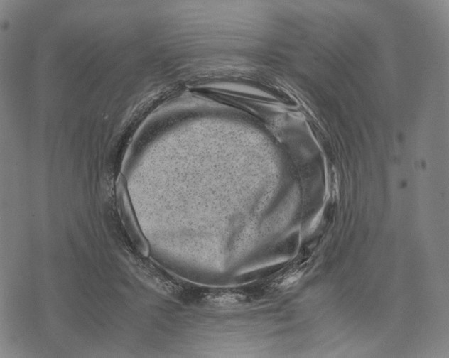 X0000071780407200607211602