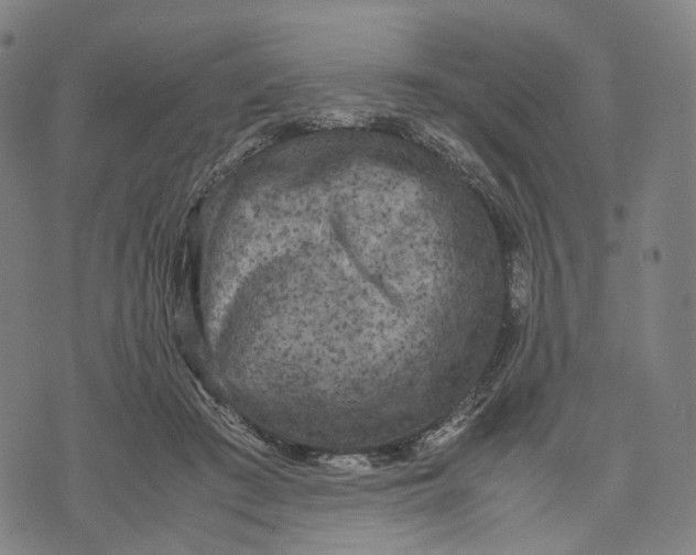 X0000071780409200607211602