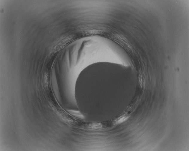 X0000071780410200607211602