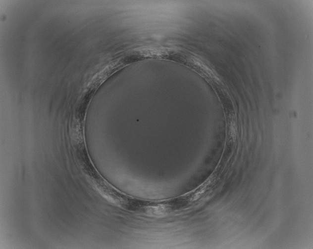 X0000071780411200607211602