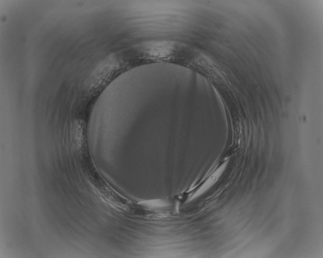 X0000071780412200607211602