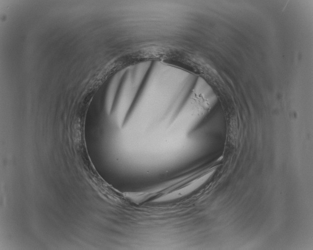 X0000071780413200607211602