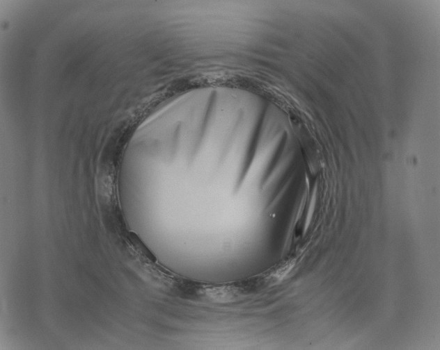 X0000071780417200607211602