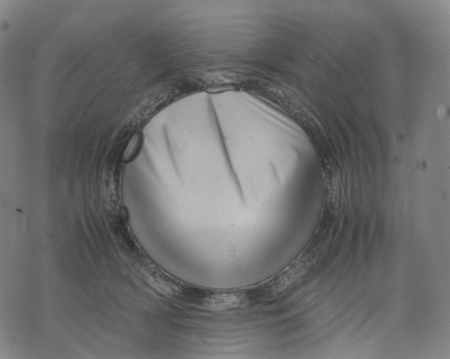 X0000071780418200607211602