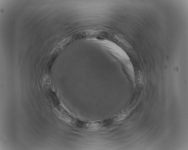 X0000071780419200607211602