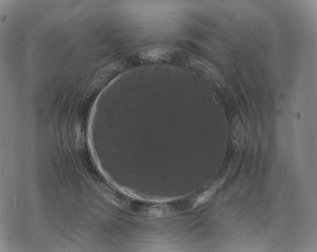 X0000071780420200607211602