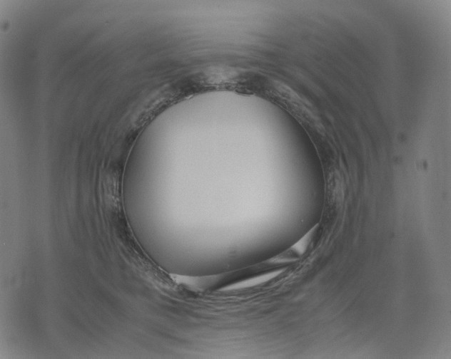 X0000071780421200607211602