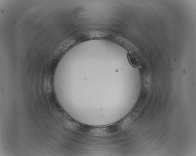 X0000071780422200607211602