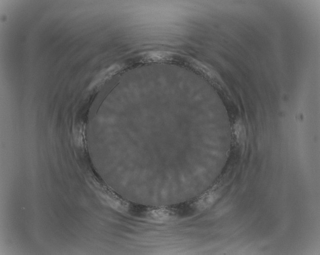 X0000071780423200607211602