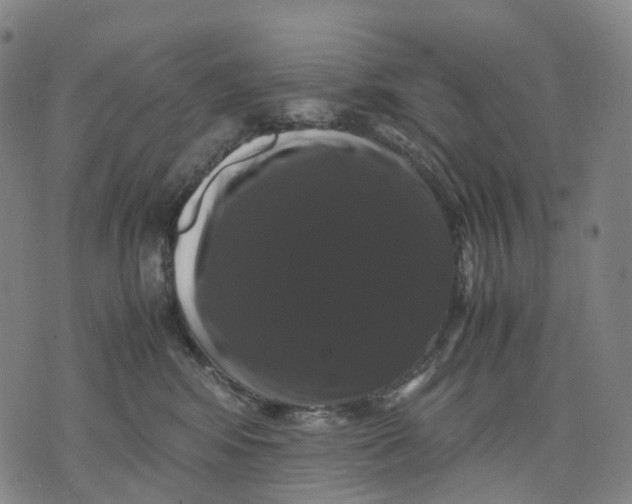 X0000071780424200607211602