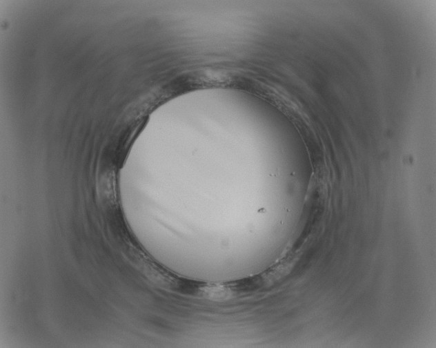 X0000071780425200607211602