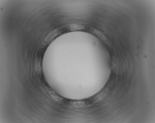 X0000071780426200607211602