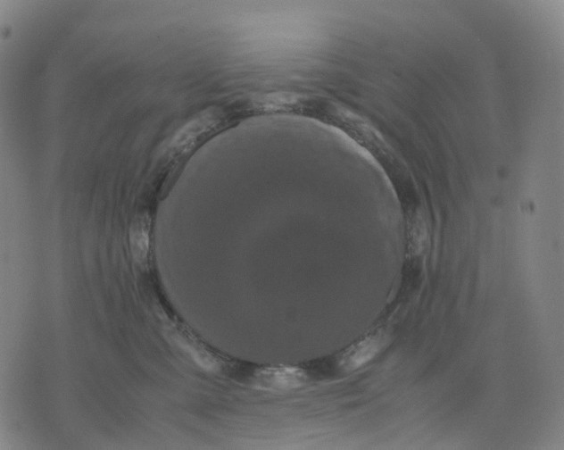 X0000071780427200607211602