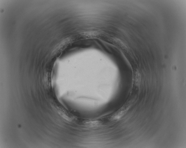 X0000071780428200607211602