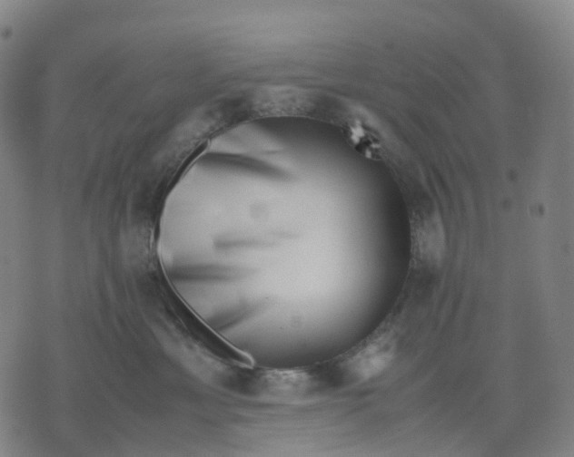 X0000071780429200607211601