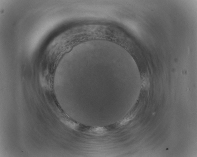 X0000071780431200607211601