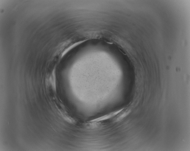 X0000071780432200607211601