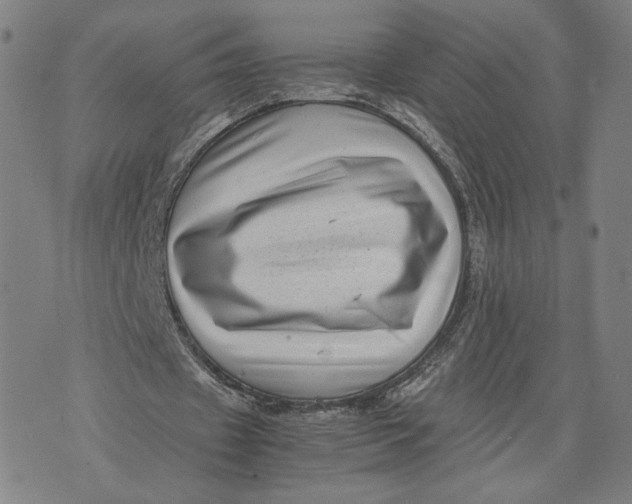 X0000071780433200607211601