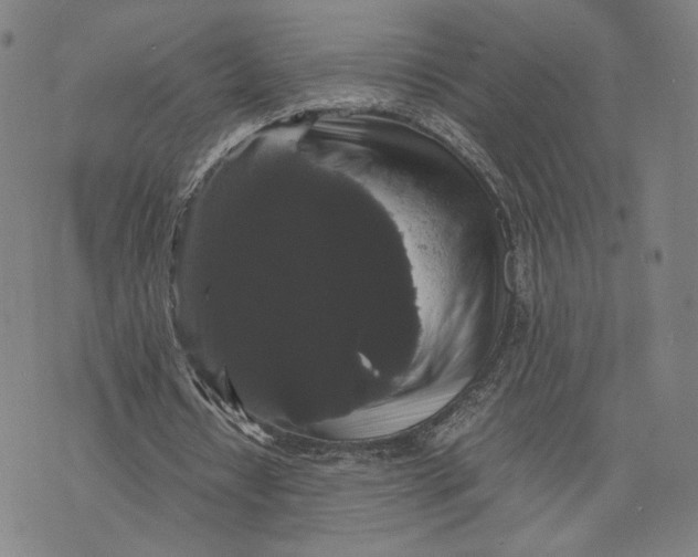 X0000071780434200607211601