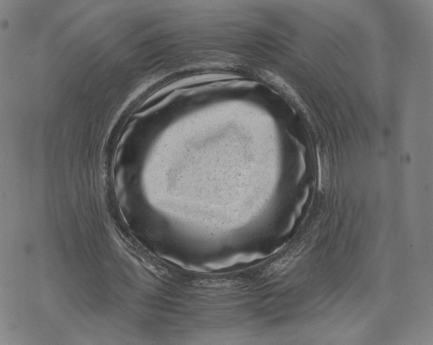 X0000071780435200607211601