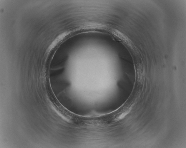 X0000071780436200607211601