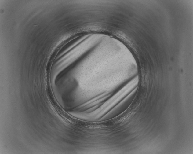 X0000071780439200607211601