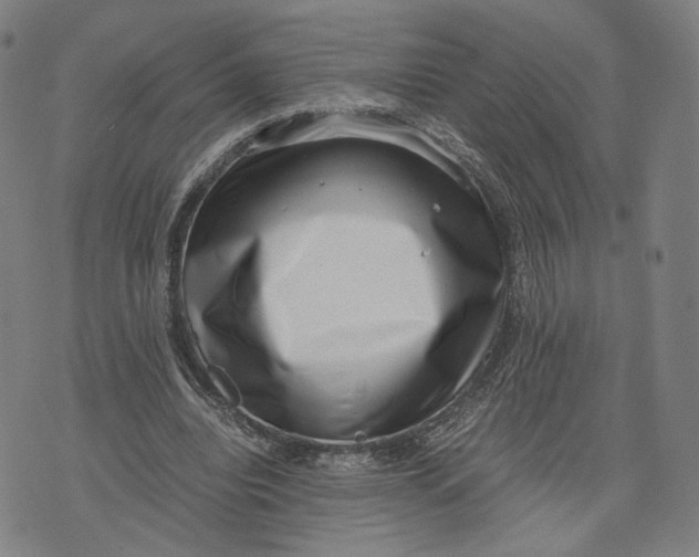 X0000071780440200607211601