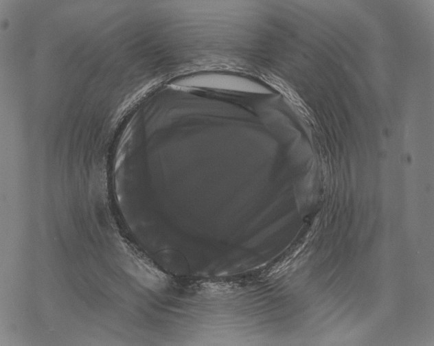 X0000071780442200607211601