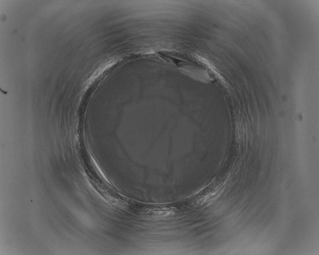 X0000071780443200607211601