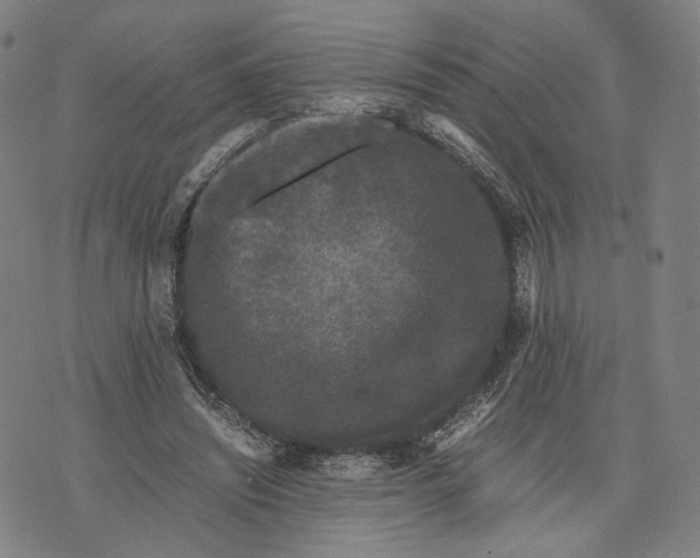 X0000071780444200607211601