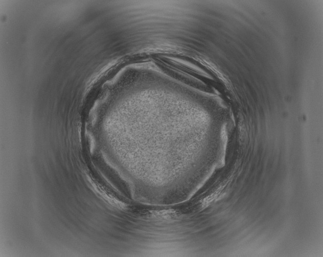 X0000071780446200607211601