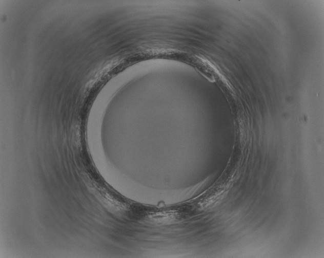 X0000071780447200607211601