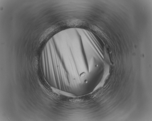 X0000071780448200607211601