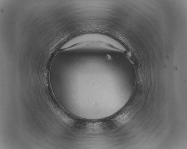 X0000071780450200607211601